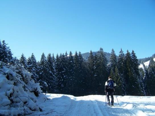 Hotel Haus Sedlmayr 4