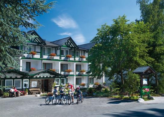 Hôtel Edelweiss 11