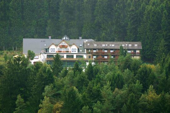 Wald Hotel Willingen 1