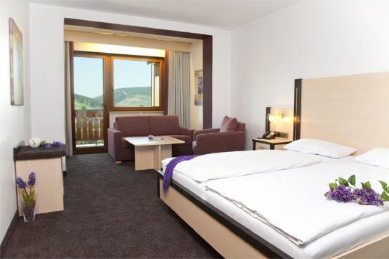 Wald Hotel Willingen 14