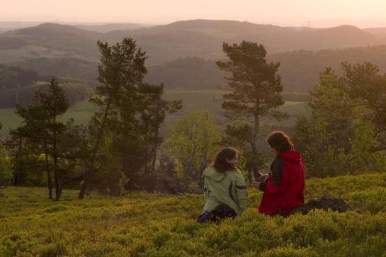 Wald Hotel Willingen 18