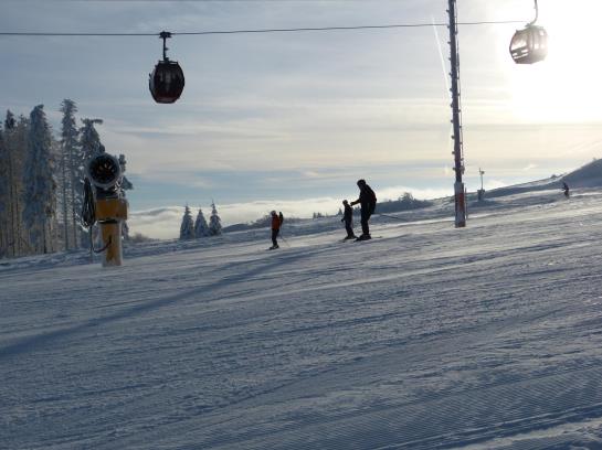 Wald Hotel Willingen 8