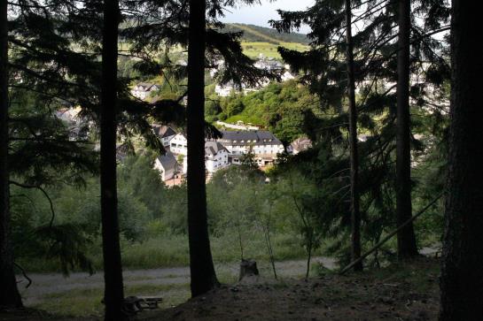 Hotel Waldecker Hof 4