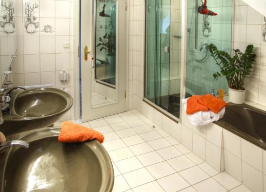 Apparthotel Jägerhaus 5