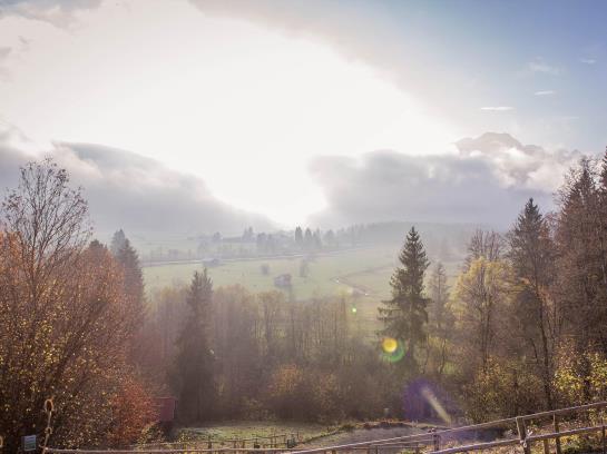 Naturhotel Waldesruhe 5