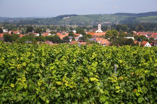 Hotel Riegeler Hof 3