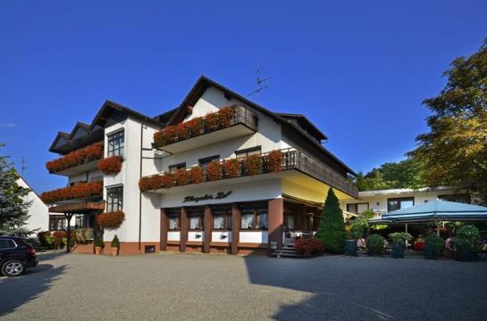 Hotel Riegeler Hof 8