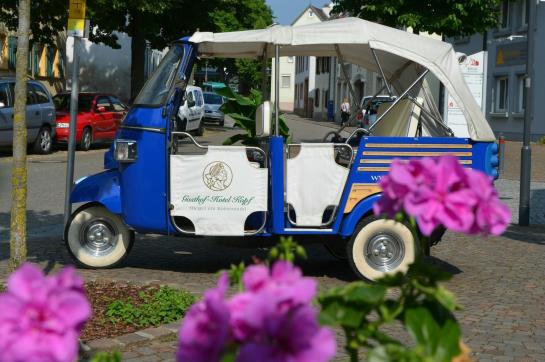 Pensão Kopf Gasthof 5