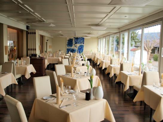 Hotel Höri Am Bodensee 10