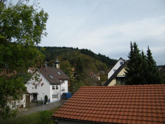 Pension Gästehaus Ruh 5