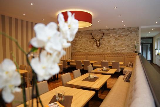 Hôtel Zum Wildpferd 9