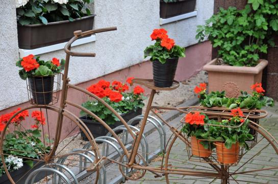 City Hotel Am Wasserturm 14