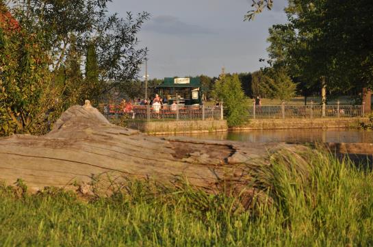 Greenline Waldhotel Forsthaus Dröschkau 4