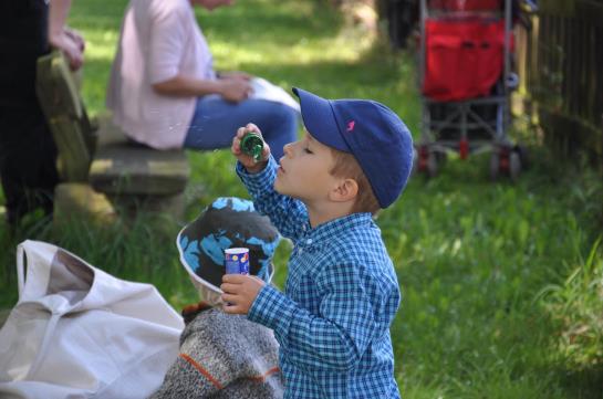 Greenline Waldhotel Forsthaus Dröschkau 5