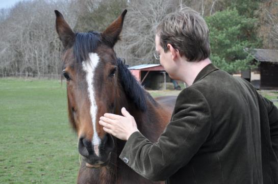 Greenline Waldhotel Forsthaus Dröschkau 6