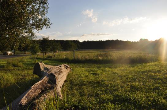 Greenline Waldhotel Forsthaus Dröschkau 7