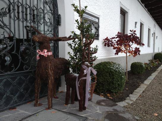 Landhotel Goldener Pflug 10