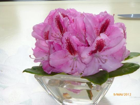 Hotel Ammerländer Hof 13