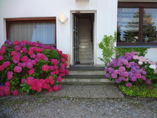 Pension Landgasthof Auf Dem Brink 2