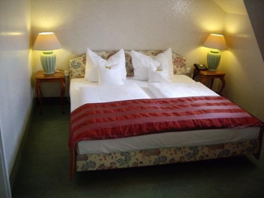 Hotel Am Mühlenteich 1