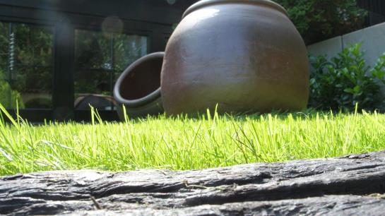 Hotel Am Oppspring 4