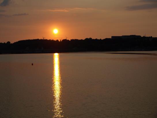 Hotel Forsthaus Wiesmann 1