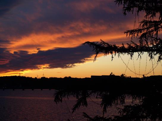 Hotel Forsthaus Wiesmann 17