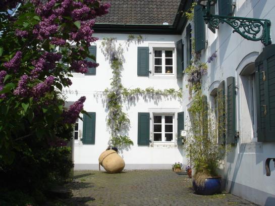 Pension Rhein River Guesthouse 14