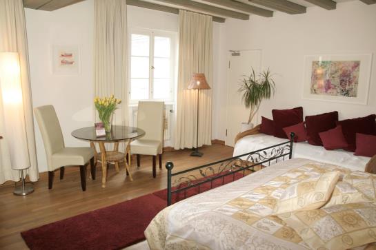 Pension Rhein River Guesthouse 15