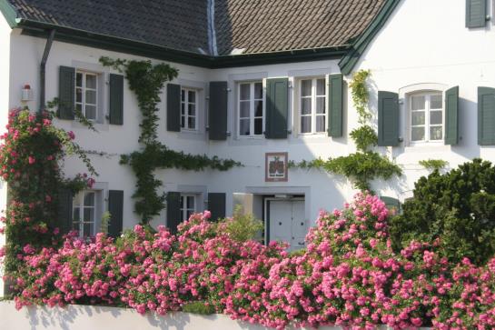Pension Rhein River Guesthouse 17
