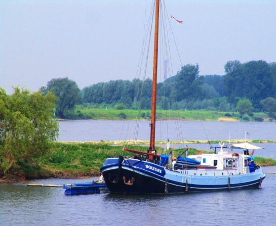 Pension Rhein River Guesthouse 4