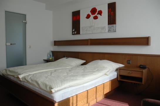 Bed and Breakfast Pension Haus Diefenbach 11