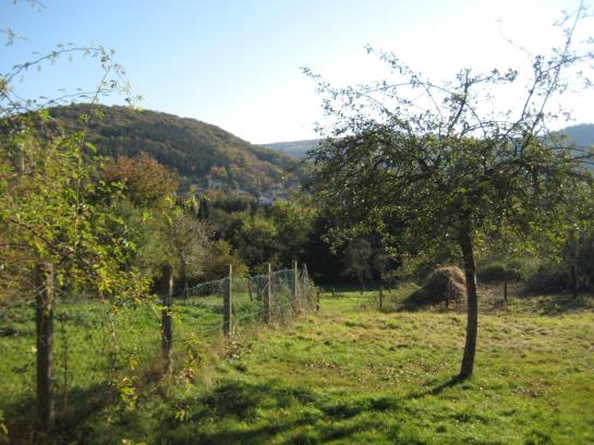 Hôtel Hinter Den Spiegeln 17