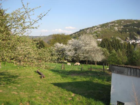 Hôtel Hinter Den Spiegeln 20