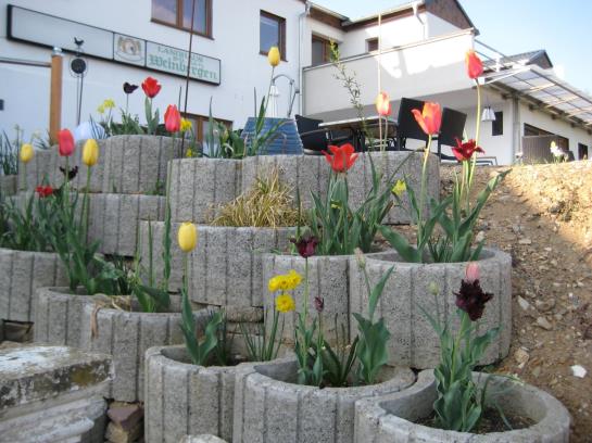 Hôtel Hinter Den Spiegeln 5