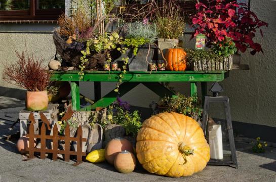 Nierswalder Landhaus 8