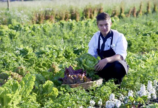 Hotel Mintrops Land Burgaltendorf 12