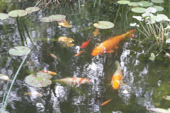 Hotel Unterfeldhaus 15