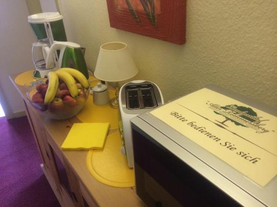 Pension Landgasthof Alter Rommersberg 2