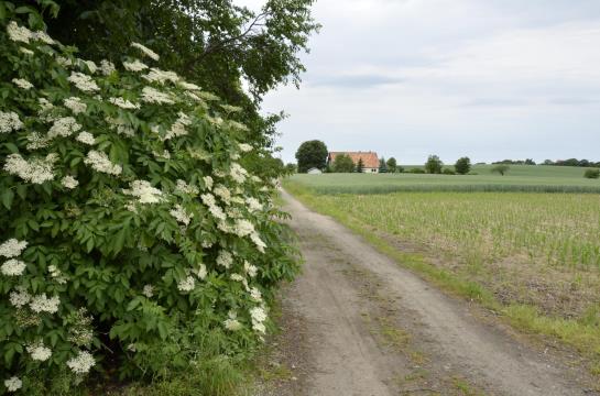 Hotel Ferienwohnungen Weichaer Hof 1