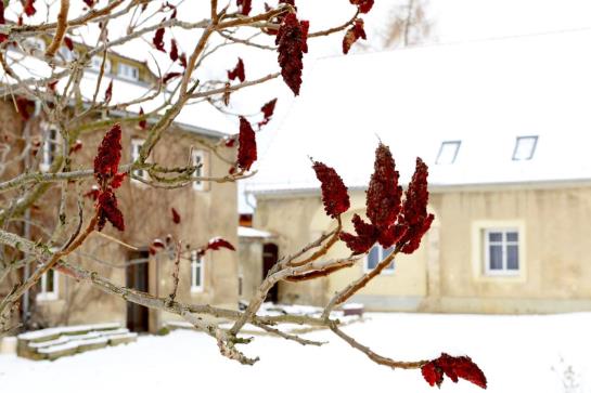 Hotel Ferienwohnungen Weichaer Hof 3