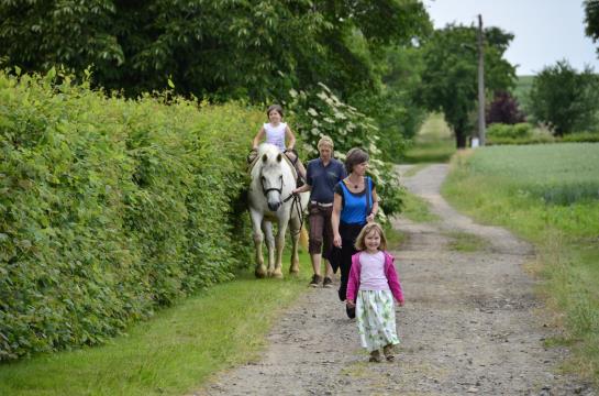 Hotel Ferienwohnungen Weichaer Hof 5
