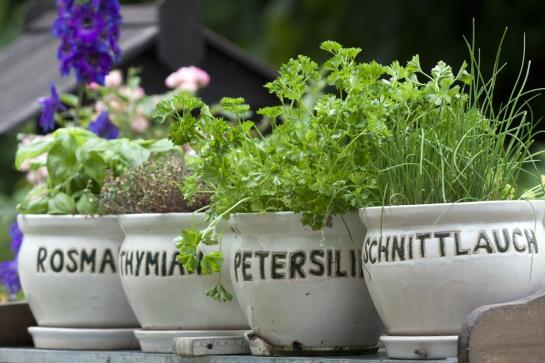 Hotel Zum Postillion 7