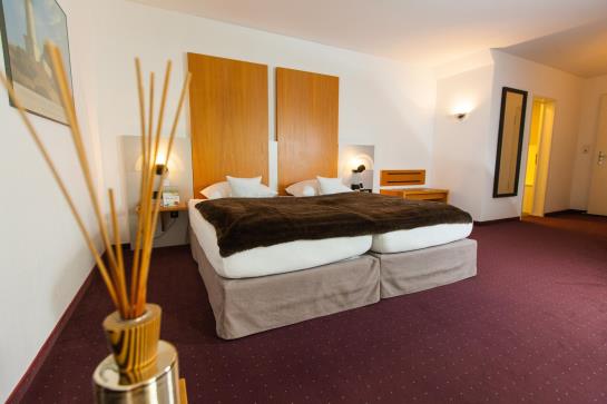 Villa Anna Eisenach 15