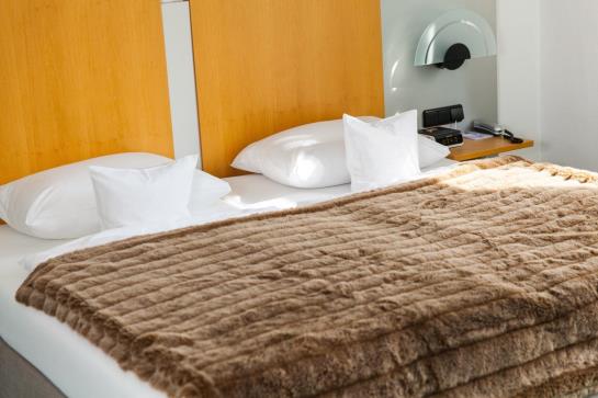 Villa Anna Eisenach 16