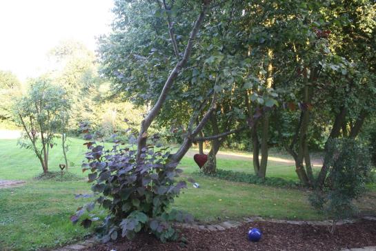 Hotel Dein Gutshof 12