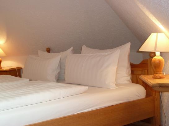 Hotel Frauensteiner Hof 2