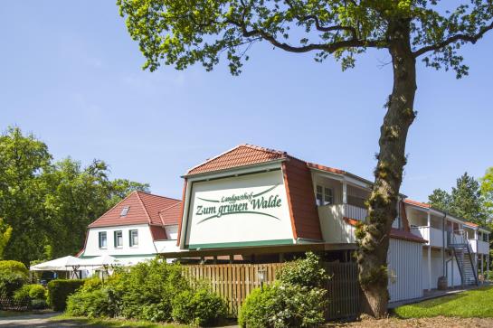 Hotel Zum Grünen Walde 3