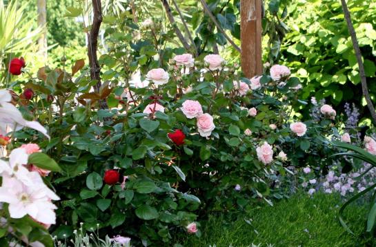 Hotel Weingut Sandwiese Winzer 8