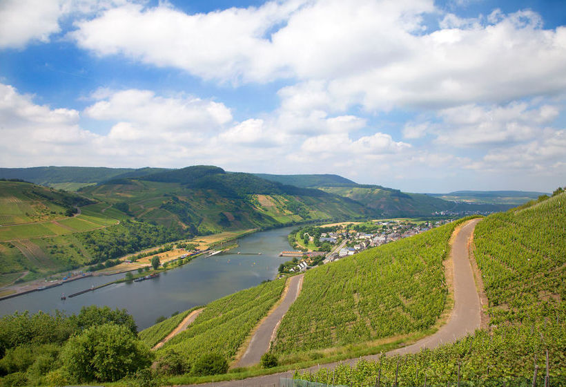 Hotel Weinhaus Simon 3